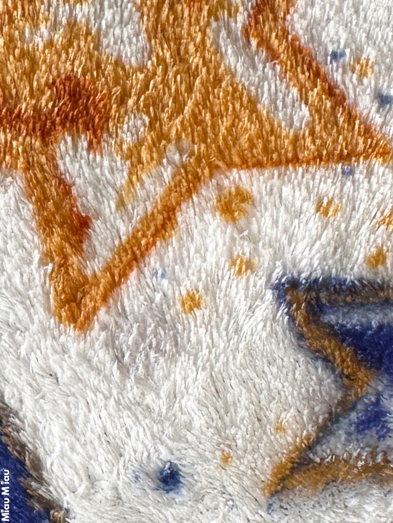 CK928 2011